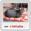 Mi gatita,Misina Fdez Rodr�guez